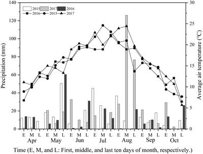 Post-anthesis dry matter and nitrogen accumulation, partitioning, and translocation in maize under different nitrate–ammonium ratios in Northwestern China